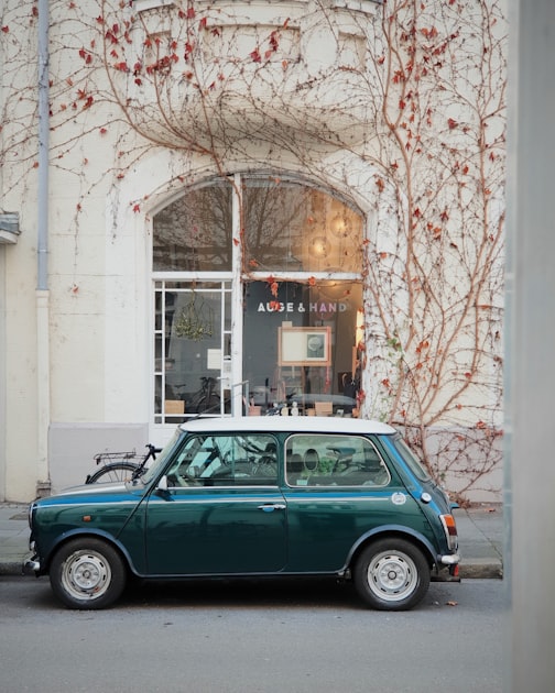 The Joy of Owning a Vintage Vehicle